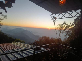 Kodai woodhouse
